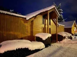 Chalet Capucine 2 au coeur des Vosges