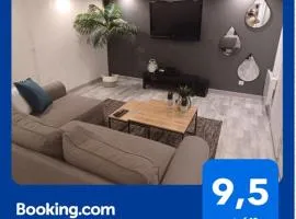 Très bel appartement type loft de 40 m2 dans maison avec parking privatif