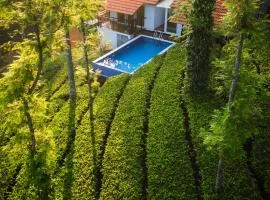 Tealawn Pool Villa, Munnar