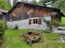 Chalet la corne du chamois, Hotel in Sixt