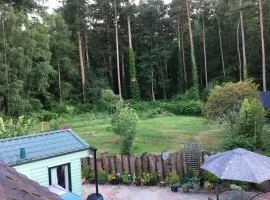 Secluded Woodland Hideaway - 2 Bed with Private Parking