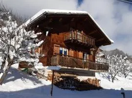 Savoyard nest with Mont Blanc view