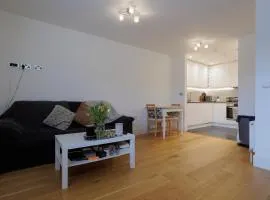 Lovely Modern 1-Bed Flat in Kingston