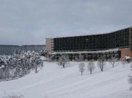 Grand Studio VILLARD DE LANS Les Glovettes, hotell i Villard-de-Lans