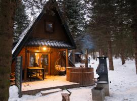 Oliwne Wzgórza, chalet di Stronie Slaskie