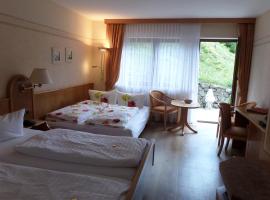 Hotel - Gasthof Blume, hotel a Oppenau