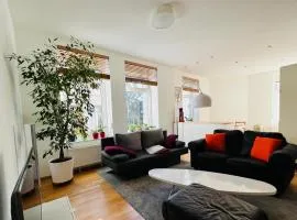 Großes und helles Innenstadt Apartment - Ferienwohnung