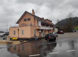 Gästehaus Spring, hotel v destinaci Aarau