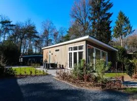 Atmospheric chalet with terrace in the middle of the Veluwe