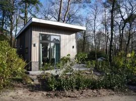 Tiny house near the Veluwe