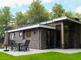 Modern holiday home near Veluwe