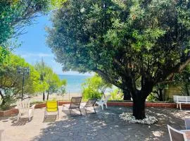 Villa GREG stupenda location sulla spiaggia con accesso diretto al mare