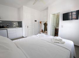 The Botanist Guesthouse, hotell i Skopelos stad