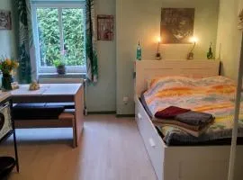 Studio-Apartment mit kleinem Gartenanteil