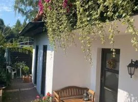 Ferienwohnung in Bad Elster mit Grill und Terrasse