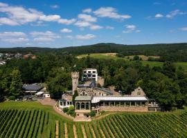 Relais & Châteaux Hotel Burg Schwarzenstein, hotel com acessibilidade em Geisenheim