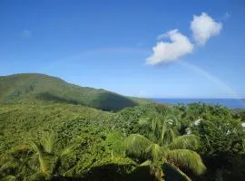 Villa vue de rêve mer & forêt primaire