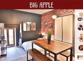 Big Apple - Studio paisible - parking gratuit - 2 personnes - Village Vaux 3 minutes Auxerre