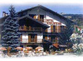 Hotel Edelweiss & SPA, hotel v destinaci Cesana Torinese