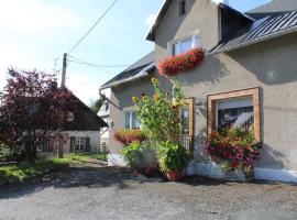 Ferienwohnung am Mühlbach, hotel v destinácii Klingenthal