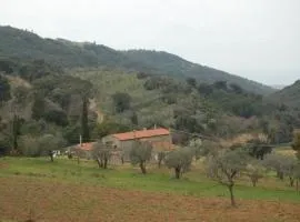 Ferienwohnung in Campiglia Marittima