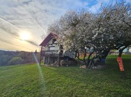 Casa rustica, viešbutis Brašove