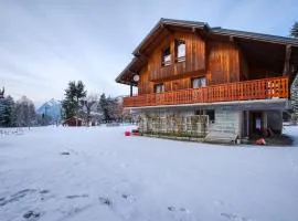 Chalet familial spacieux au pied des pistes avec navette, parking et équipements complets - FR-1-642-3