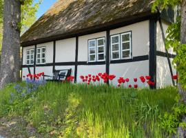 Sofie's Hus - Munkgaard Bed & Breakfast, קוטג' בHårlev