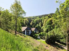 Ferienwohnung in Triberg am Waldrand - idyllisch, ruhig, erholsam, hiihtokeskus kohteessa Triberg