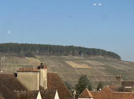 Les Suites Gueguen, hotel in Chablis