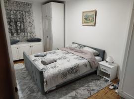 Apartman NINASTA, hotel din Pirot