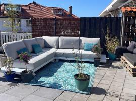 Luxury home with roof terrace in The Hague, hotel in Den Haag