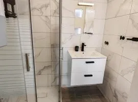 Apartman Březinova