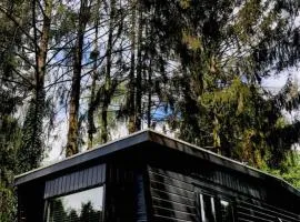 Heerlijk chalet midden in de natuur