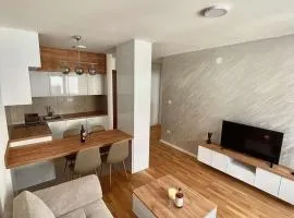 Tina Apartman Sokobanja