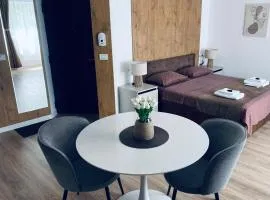 Central luxury apartment Iasi