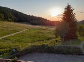 Schwarzwald pur! Mitten in der Natur!