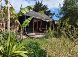 cabane, hotel care acceptă animale de companie din Ile d'Arz