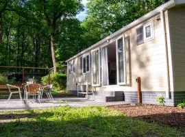 Heerlijk chalet in Hoenderloo met zonnig terras