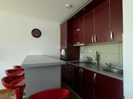 Aleksandrovic Apartman