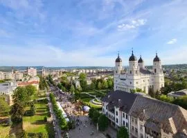 Panoramic penthouse in the heart of Iasi