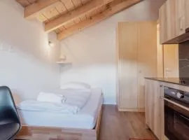 Studio rénové à Grimentz