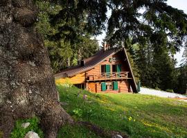 Chalet Alpinka, fjallaskáli í Cerklje na Gorenjskem