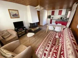 Appartement cosy au cœur de Châtel, proche télécabine et activités avec Multi Pass à 3€/jour! - FR-1-693-69