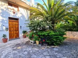 Private house in Locorotondo - Puglia - Italy