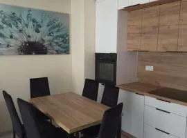 Apartament szmaragdowy z klimatyzacją