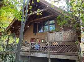 Above Ole Smoky’s Clouds, 1 Bedroom, Hot Tub, WiFI, Pets, Sleeps 4