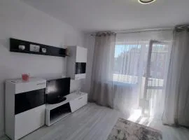 Apartament central pe pietonala nr2