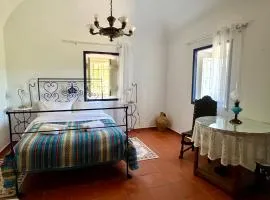 Qta Casa Seleiras - Guest House