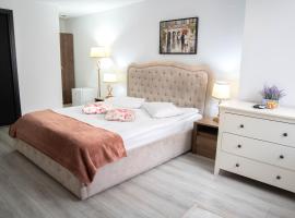 Casa Alis, hotel a Oradea